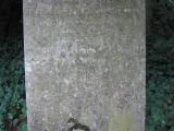 image of grave number 270700